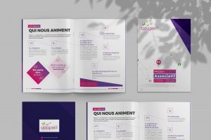 Création de rapports d'activité Blois pour l'ADAPEI, graphiste freelance à Blois, Tours et Orléans